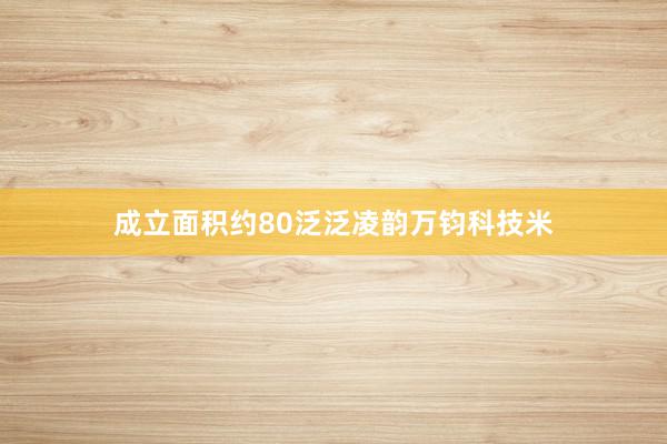 成立面积约80泛泛凌韵万钧科技米
