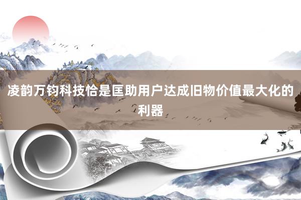 凌韵万钧科技恰是匡助用户达成旧物价值最大化的利器
