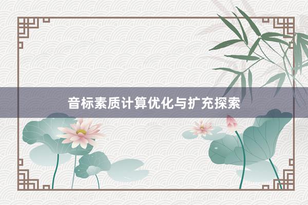 音标素质计算优化与扩充探索
