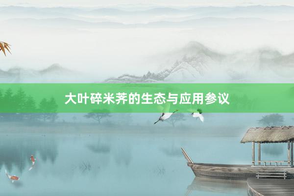 大叶碎米荠的生态与应用参议