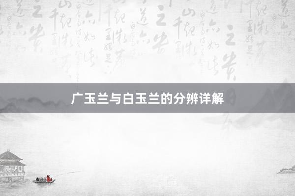 广玉兰与白玉兰的分辨详解