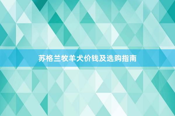 苏格兰牧羊犬价钱及选购指南
