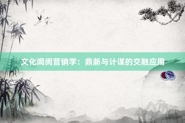 文化阛阓营销学：鼎新与计谋的交融应用