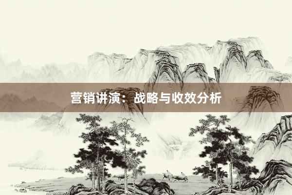营销讲演：战略与收效分析